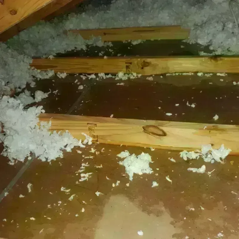 Attic Water Damage in Pearisburg, VA