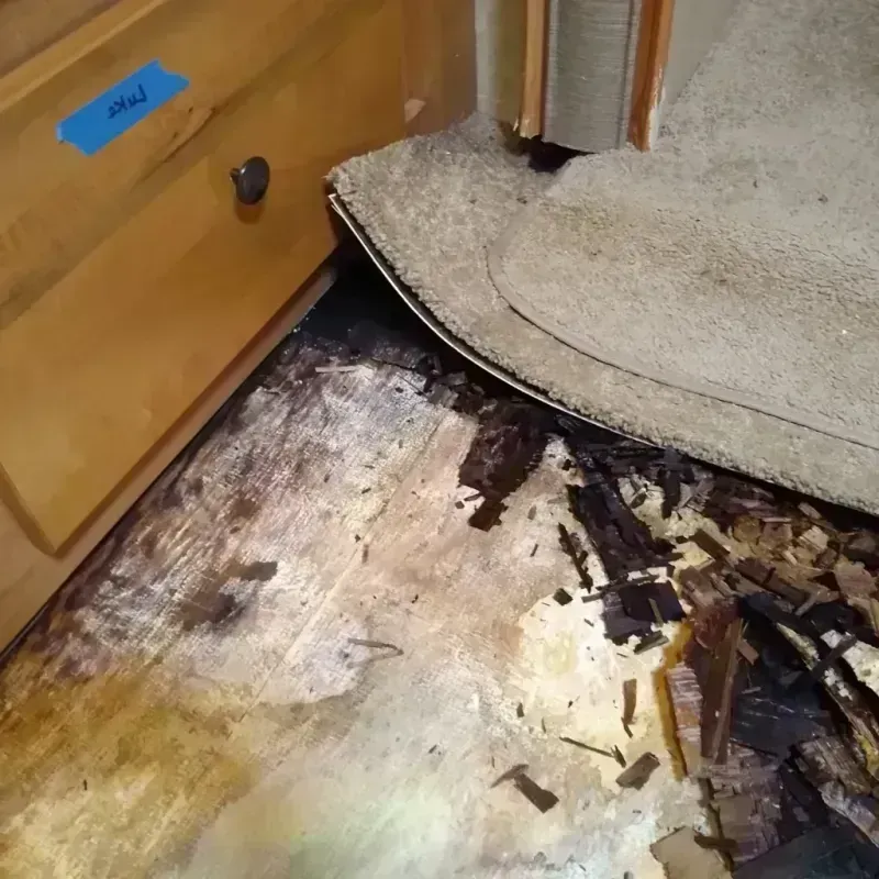 Wood Floor Water Damage in Pearisburg, VA